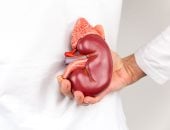 احذر.. هذه الأدوية الشائعة تضر بالكلى.. كيف تتناولها بطريقة أمنة؟