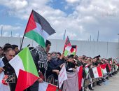 بالورقة والقلم.. ماذا قدمت الدولة المصرية لفلسطين والفلسطينيين؟